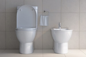 3 Reasons Why You Should Consider Having A Bidet In Your Bathroom